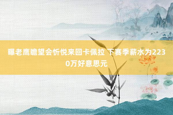 曝老鹰瞻望会忻悦来回卡佩拉 下赛季薪水为2230万好意思元